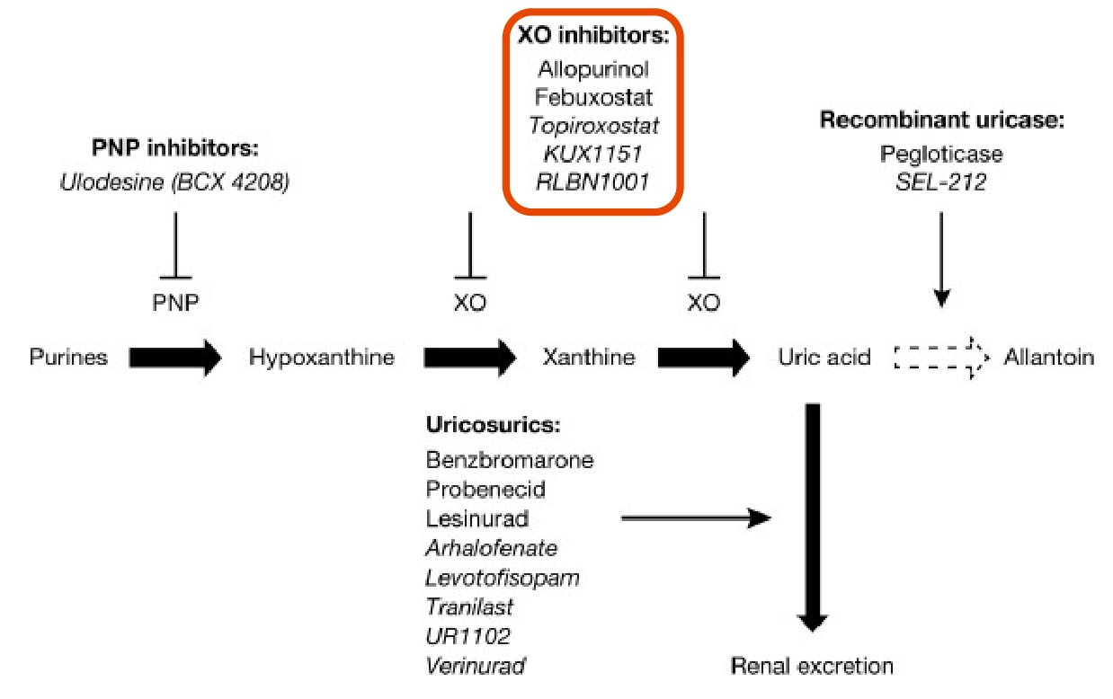 Các thuốc nổi bật trong nhóm ức chế enzyme Xanthine oxidase