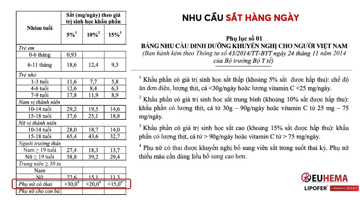 Nhu cầu sắt của người Việt Nam