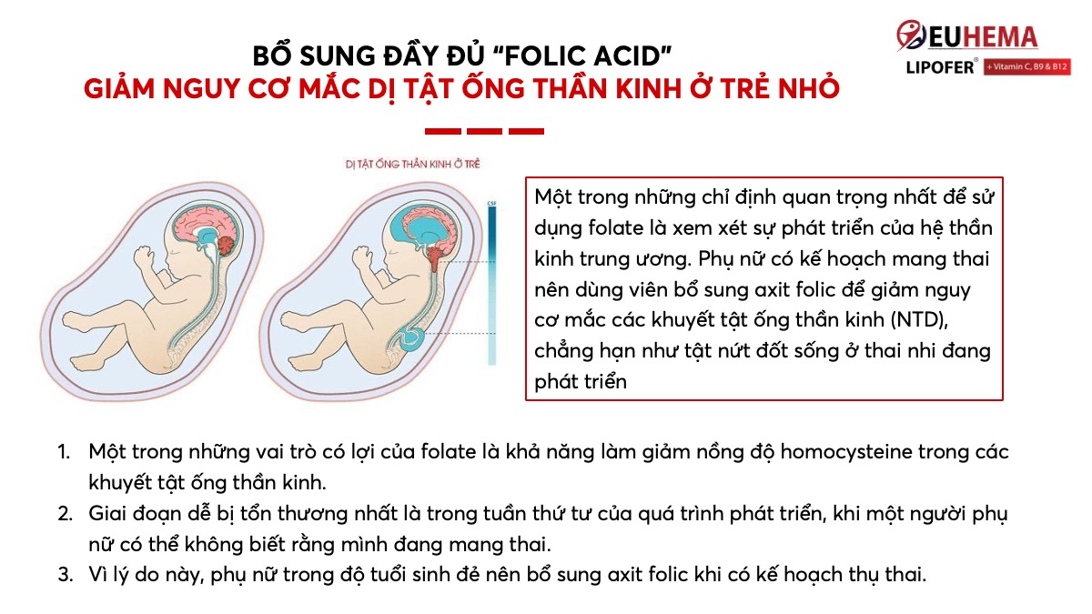 Mối nguy hiểm nếu phụ nữ mang thai thiếu Folic acid