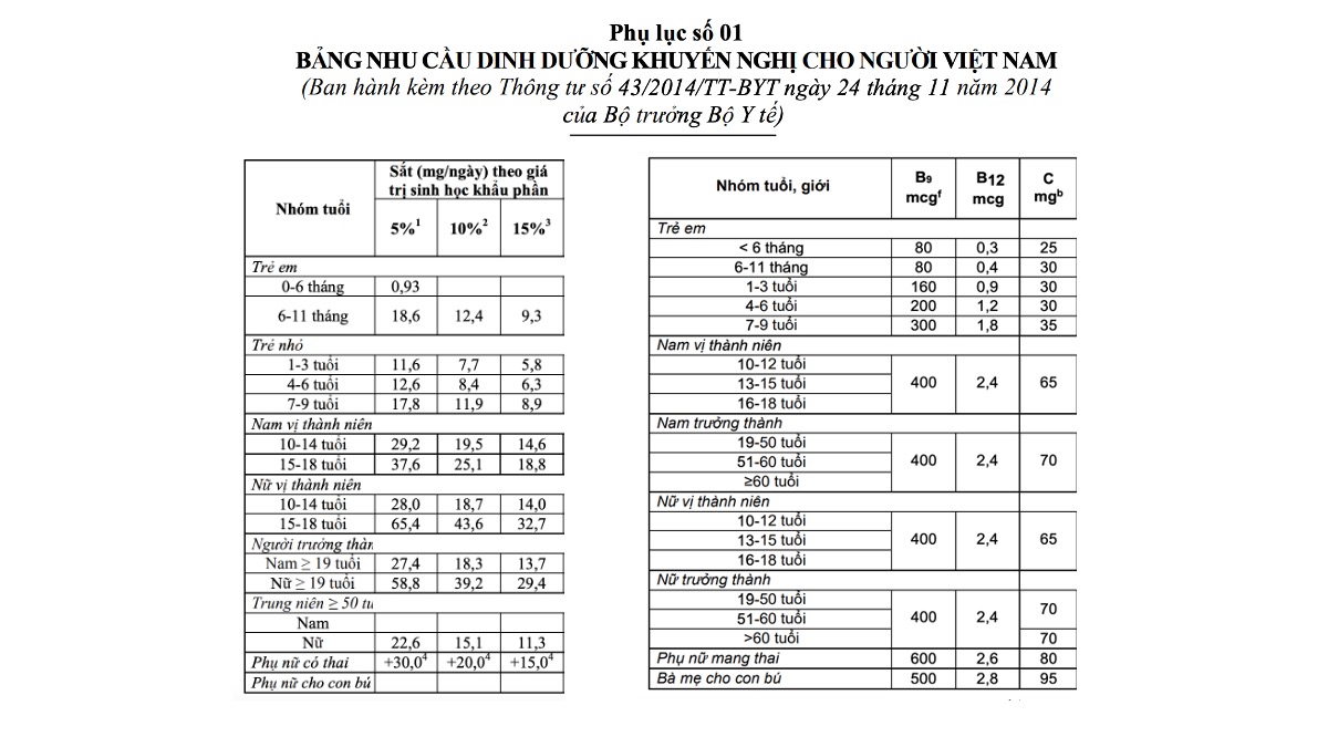 Nhu cầu B12