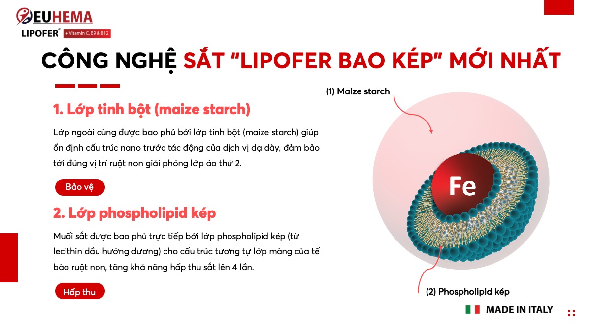 Cơ chế Lipofer bao kép