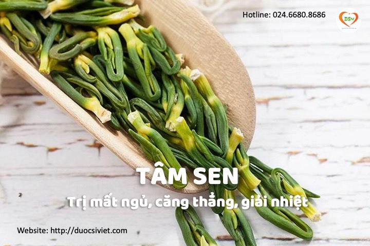 tâm sen