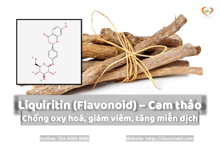 Cam thảo Flavonoid