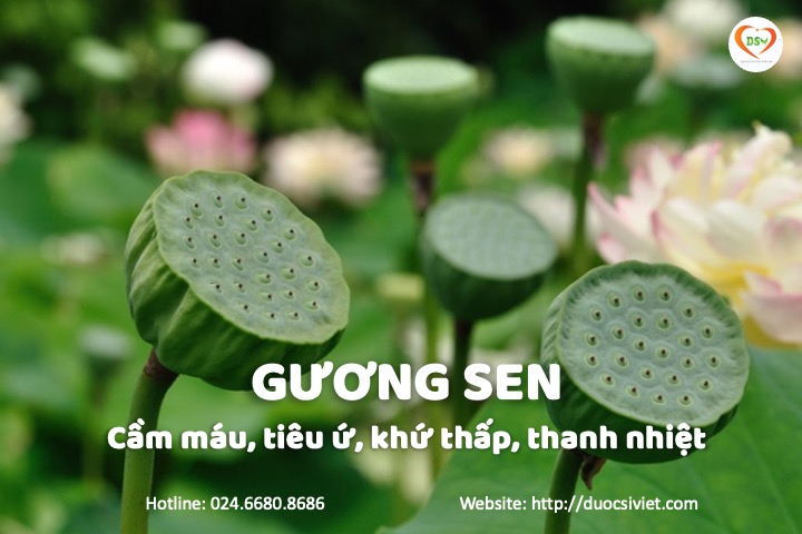 Gương sen