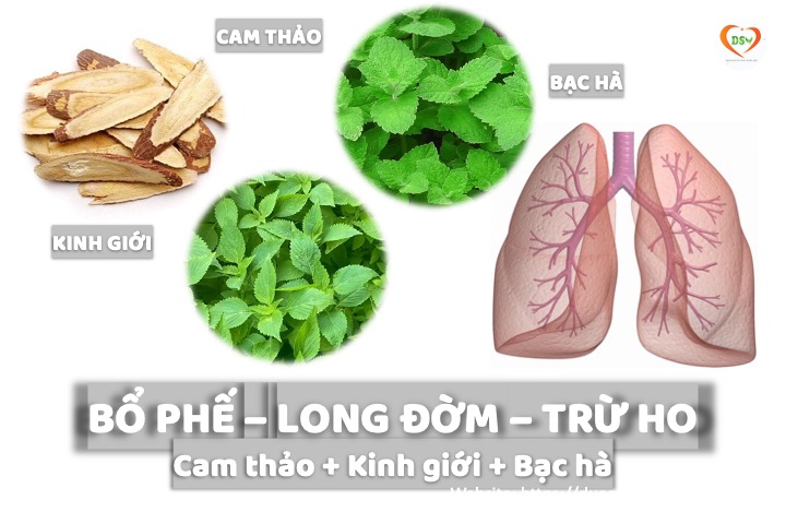 bổ phế long đờm trừ ho