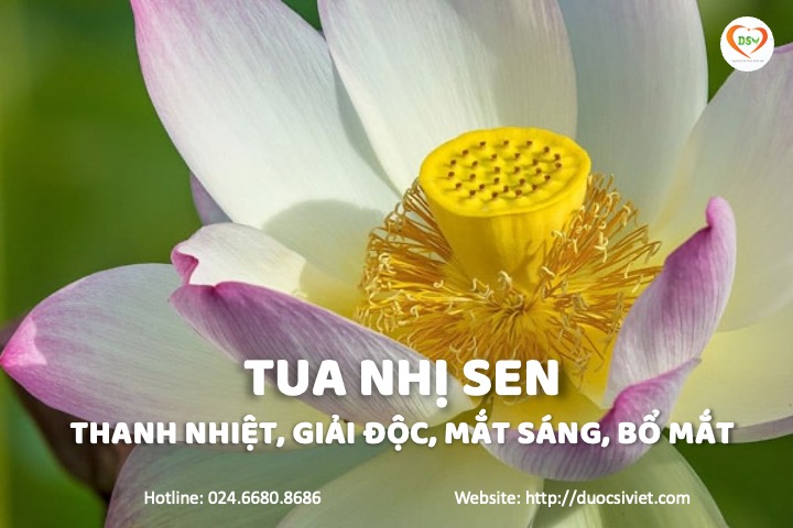 tua nhị