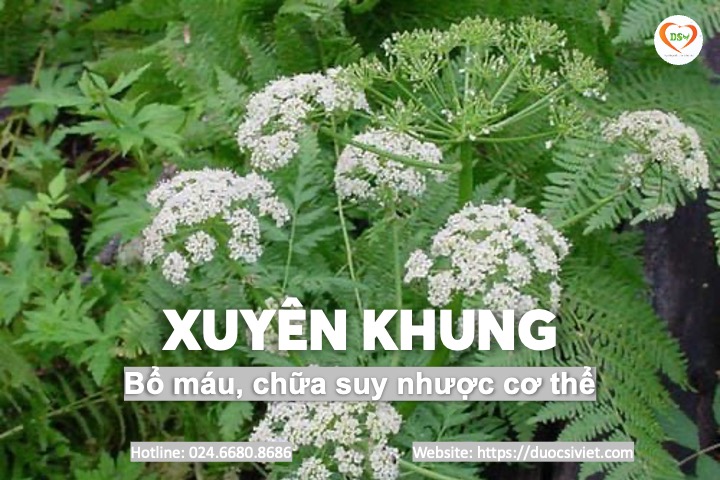 Xuyên khung 1