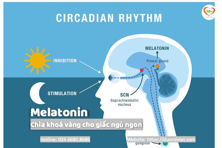 Melatonin