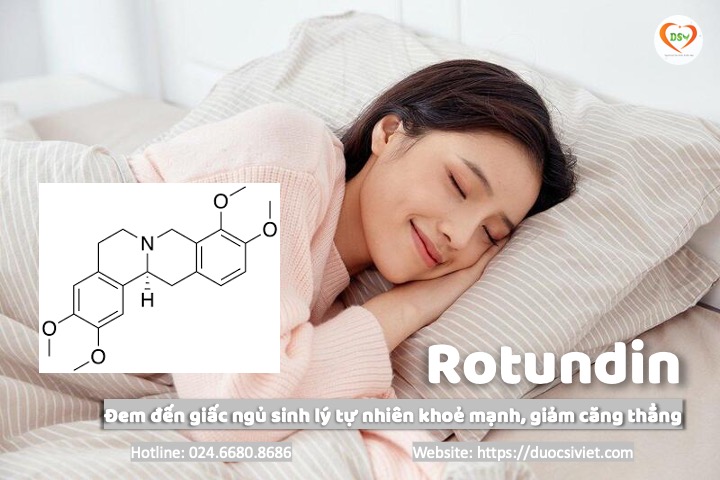 Rotundin cho giấc ngủ an lành 