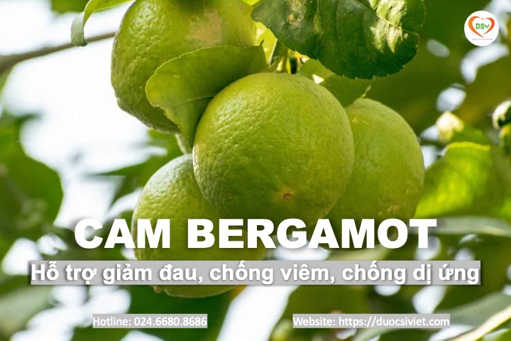 Cam bergamot 4