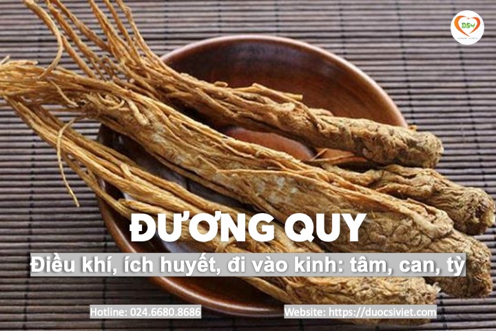 Đương quy 4