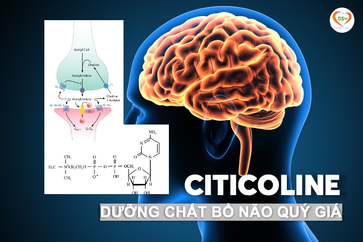 citicoline