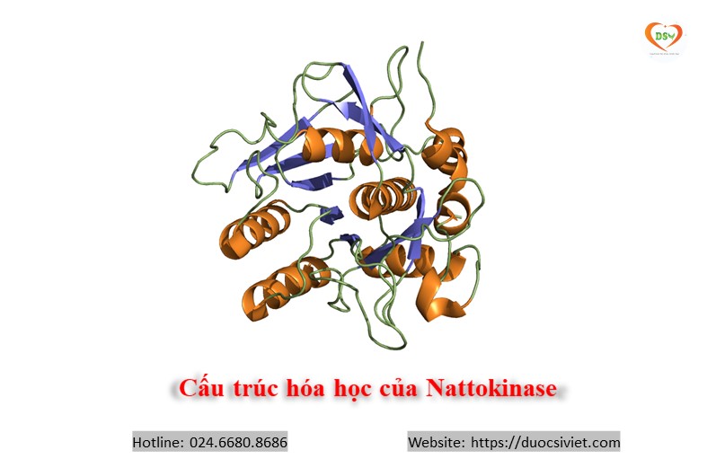 cấu trúc hóa học của Nattokinase