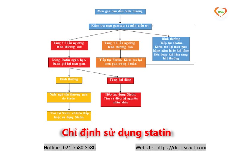 Phác đồ xử trí khi sử dụng statin trong điều trị rối loạn lipid máu