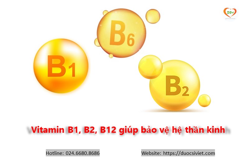 Vitamin B1, B6, B12 hỗ trợ hệ thần kinh