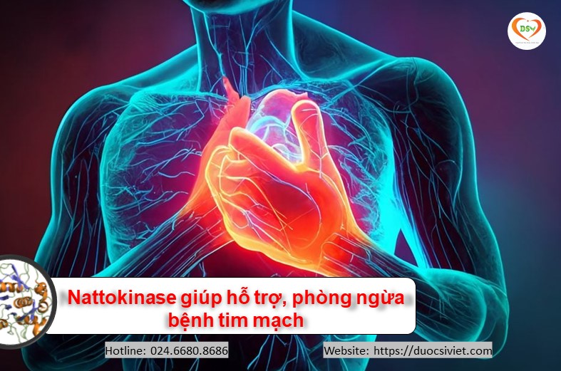 Nattokinase - hỗ trợ bệnh tim mạch