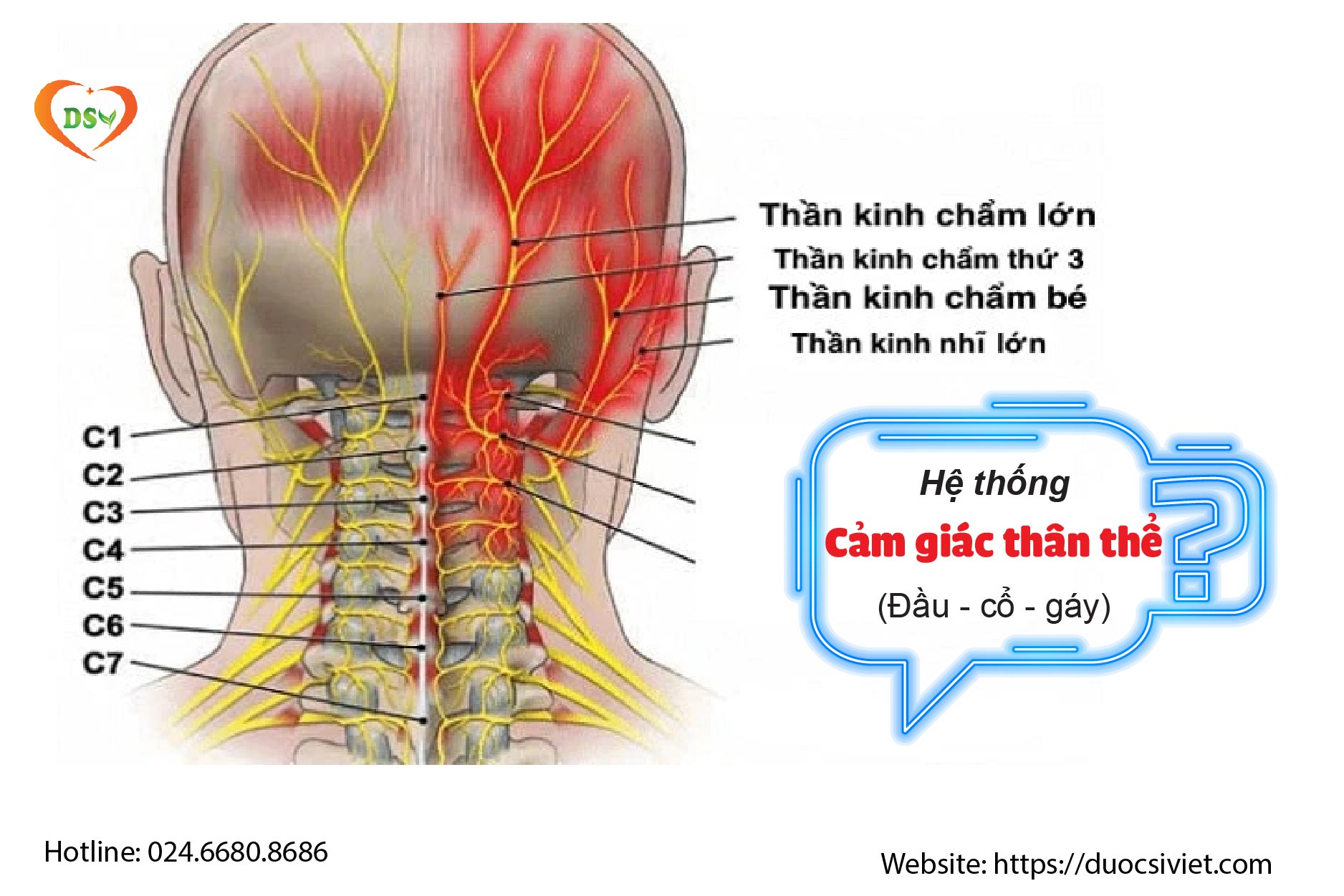 Tự nhiên bị ù tai là biểu hiện bệnh gì? 