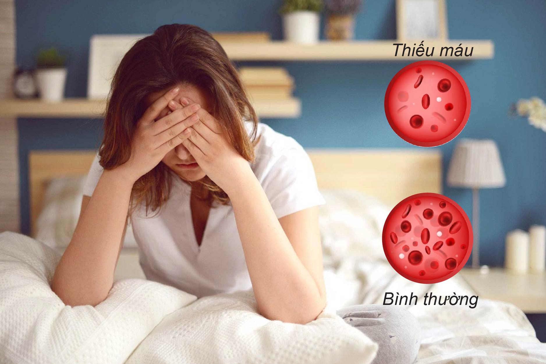 Thiếu máu do thiếu sắt có đặc điểm gì
