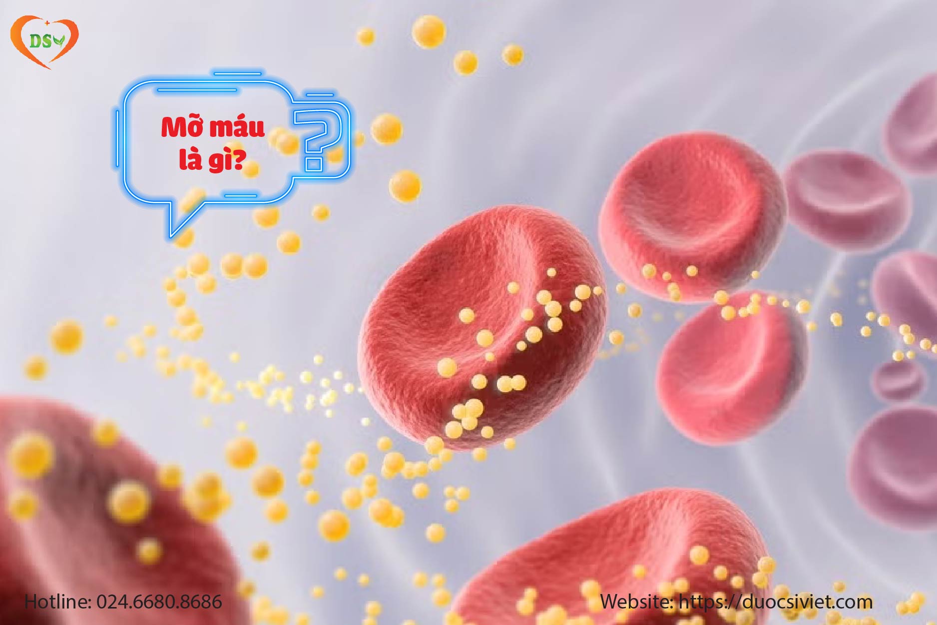 Kiểm tra chỉ số mỡ máu như thế nào khi cầm tờ xét nghiệm máu
