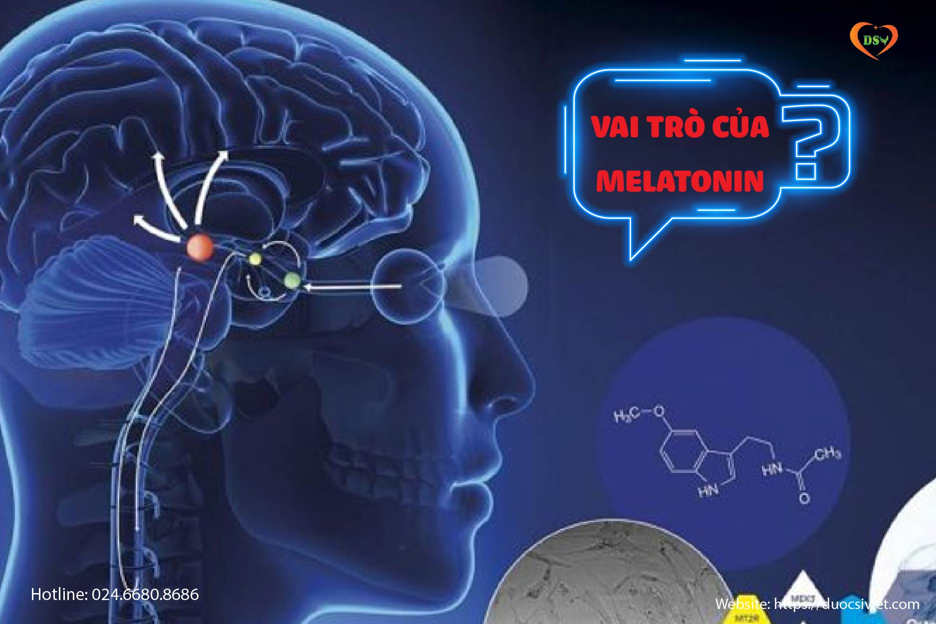 Melatonin là gì