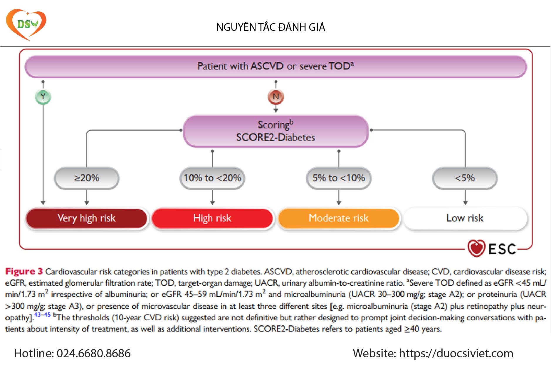 Đánh giá chỉ số mỡ máu, nguy cơ tim mạch bằng thang điểm SCORE 2 như thế nào
