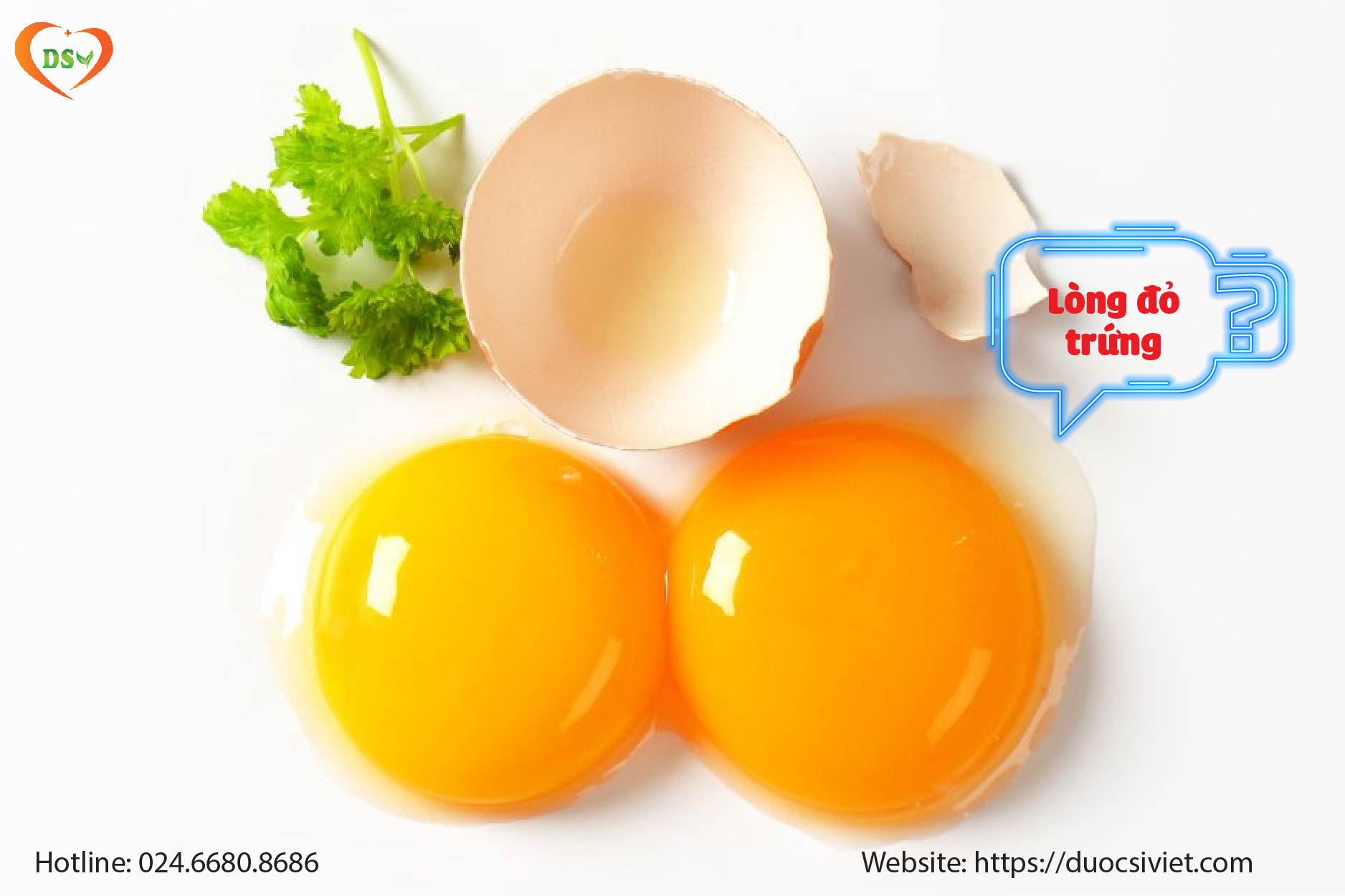 Các loại thực phẩm giàu Cholesterol