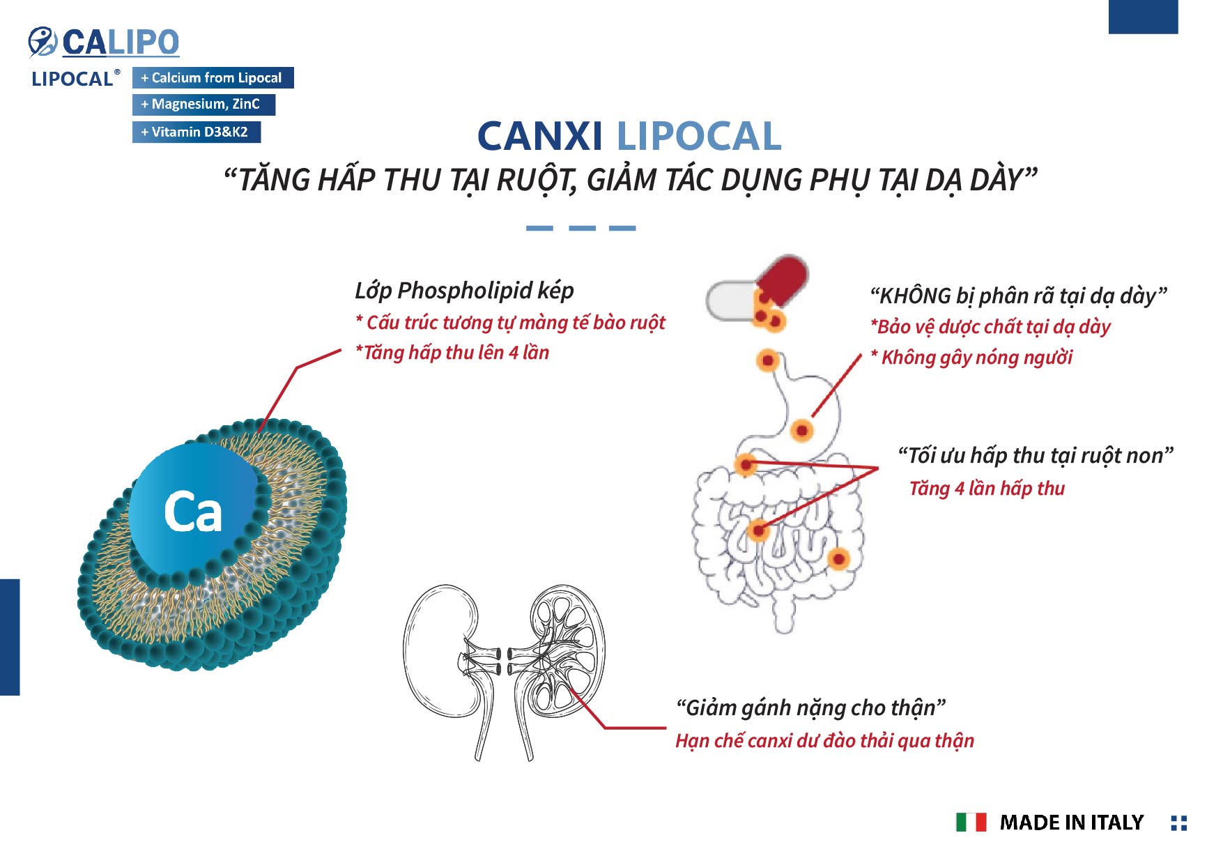 Calipo - Canxi lipocal