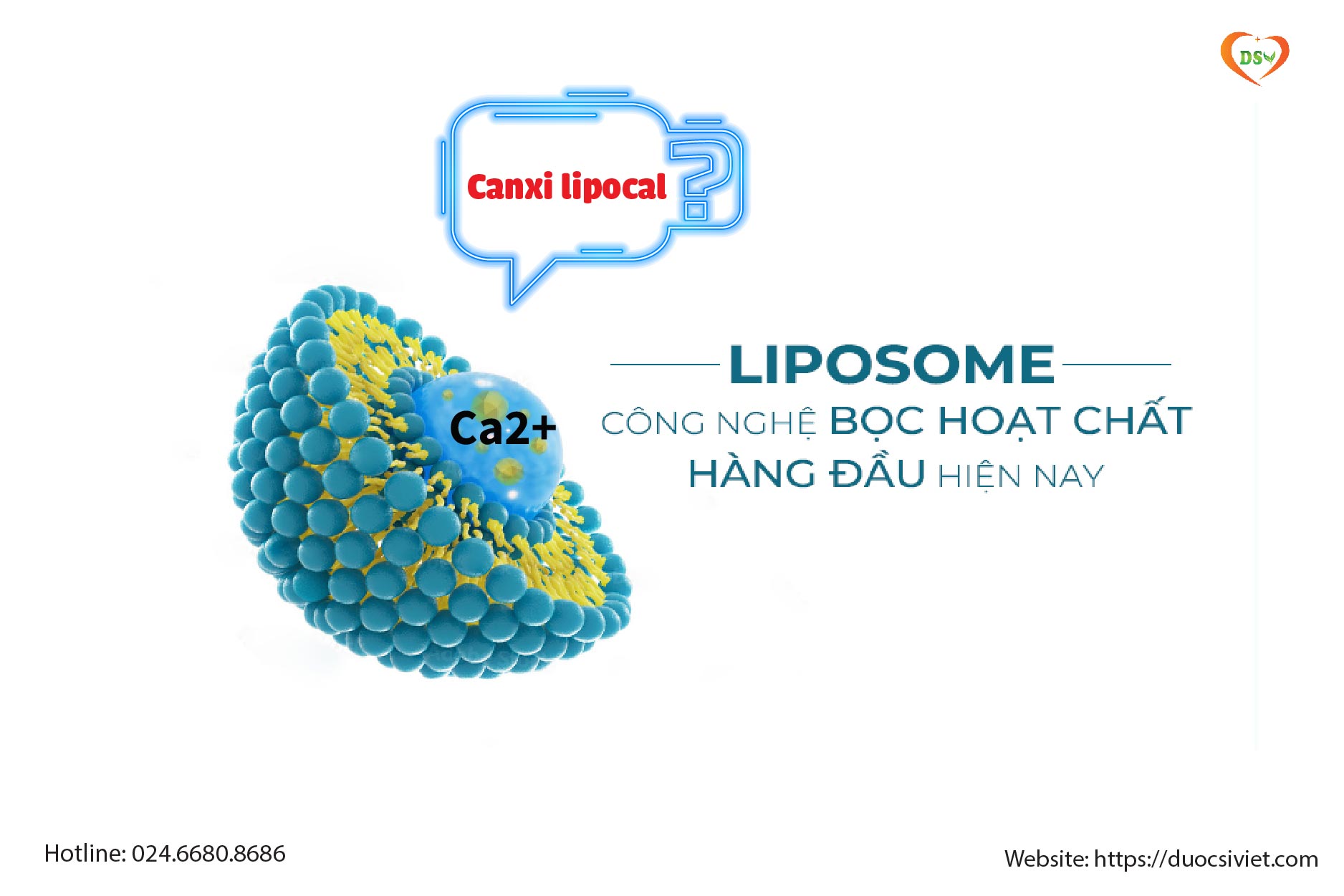 Canxi lipocal