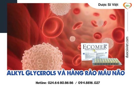 Alkyl Glycerols và hàng rào máu não - Ecomer
