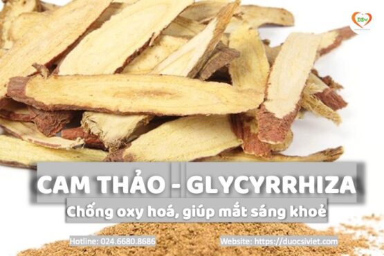 Cam thảo – Giảm viêm, kháng khuẩn, bảo vệ gan