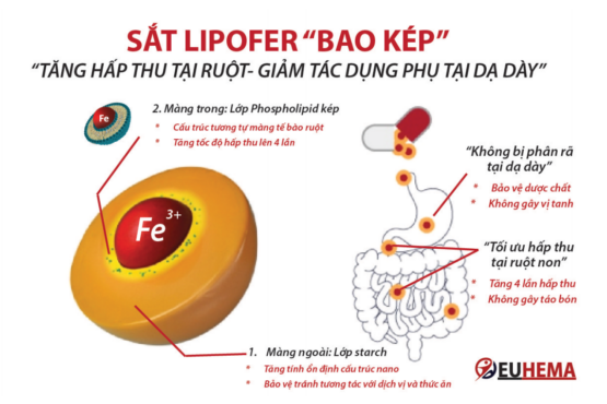 Ưu điểm của Sắt sinh học Lipofer bao kép