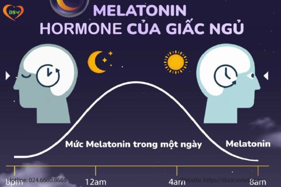Melatonin là gì