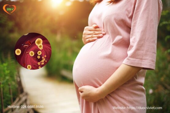 Bà bầu mỡ máu cao nên ăn gì?