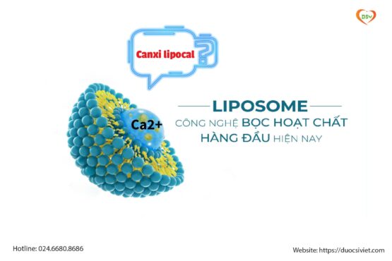 Canxi Lipocal: Giải Pháp Bổ Sung Canxi giúp Tối ưu hấp thu