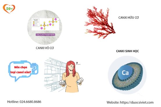 SO SÁNH CANXI VÔ CƠ, HỮU CƠ VÀ SINH HỌC: LOẠI NÀO TỐT NHẤT CHO BẠN?