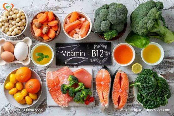 Vitamin B12 quan trọng như thế nào? Vitamin B12 quan trọng như thế nào?