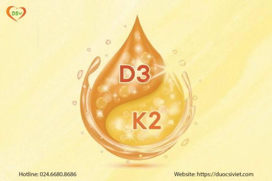 Cơ Chế Hoạt Động Hiệp Đồng Của Vitamin D3 Và K2: Bí Quyết Hấp Thu Canxi